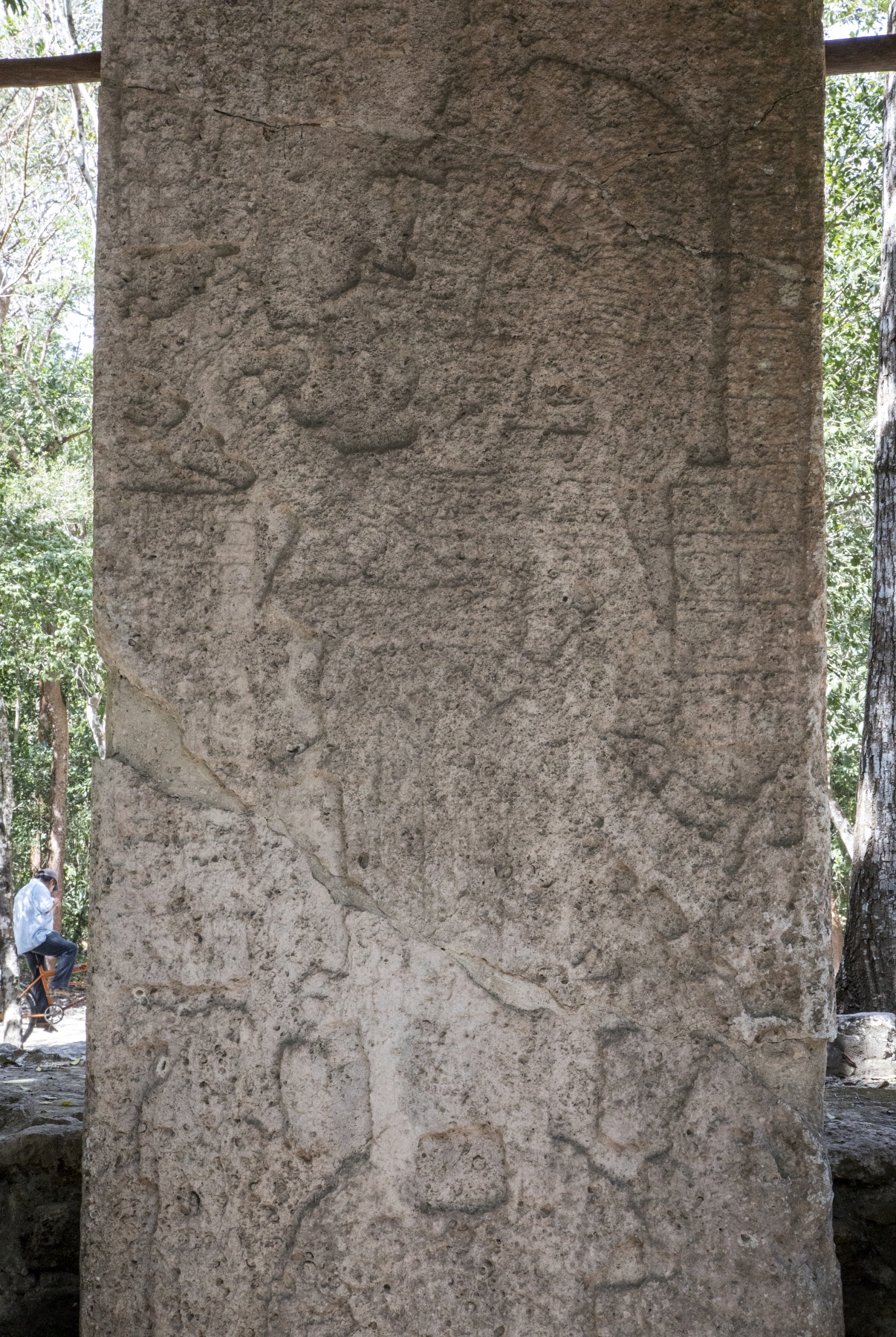 Coba Mayan Ruins, Quintana Roo, Mexico